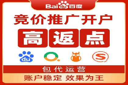 探索百度竞价代理的未来发展趋势与挑战